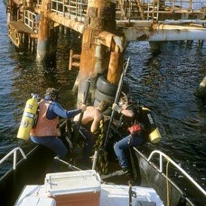 Gulf Diving