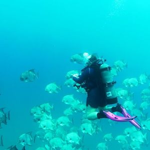 Cold H2O plays w/ fishes