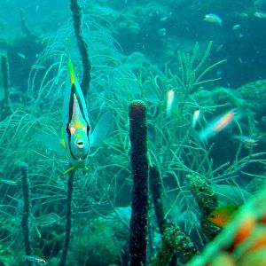 Whoyoulookinat_592437