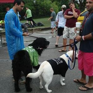 Poco and BamBam make friends 1