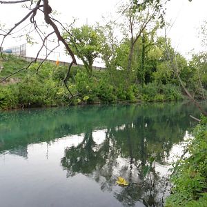 Downriver from basecamp