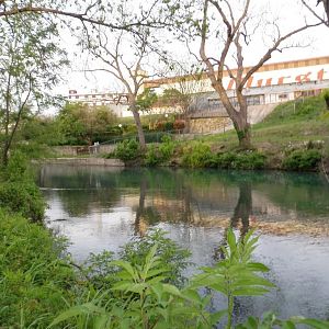Upriver from basecamp