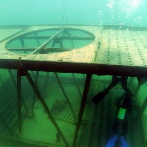 Blue Lagoon - April 2010