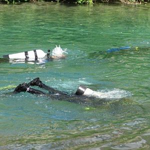 CHUM Claims the Comal - April 2010