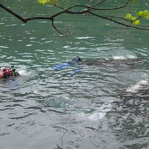 CHUM Claims the Comal - April 2010