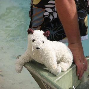 Blue Hole, TX - August 2009