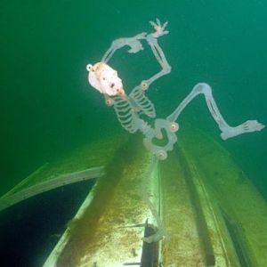 Skeleton on SailBoat