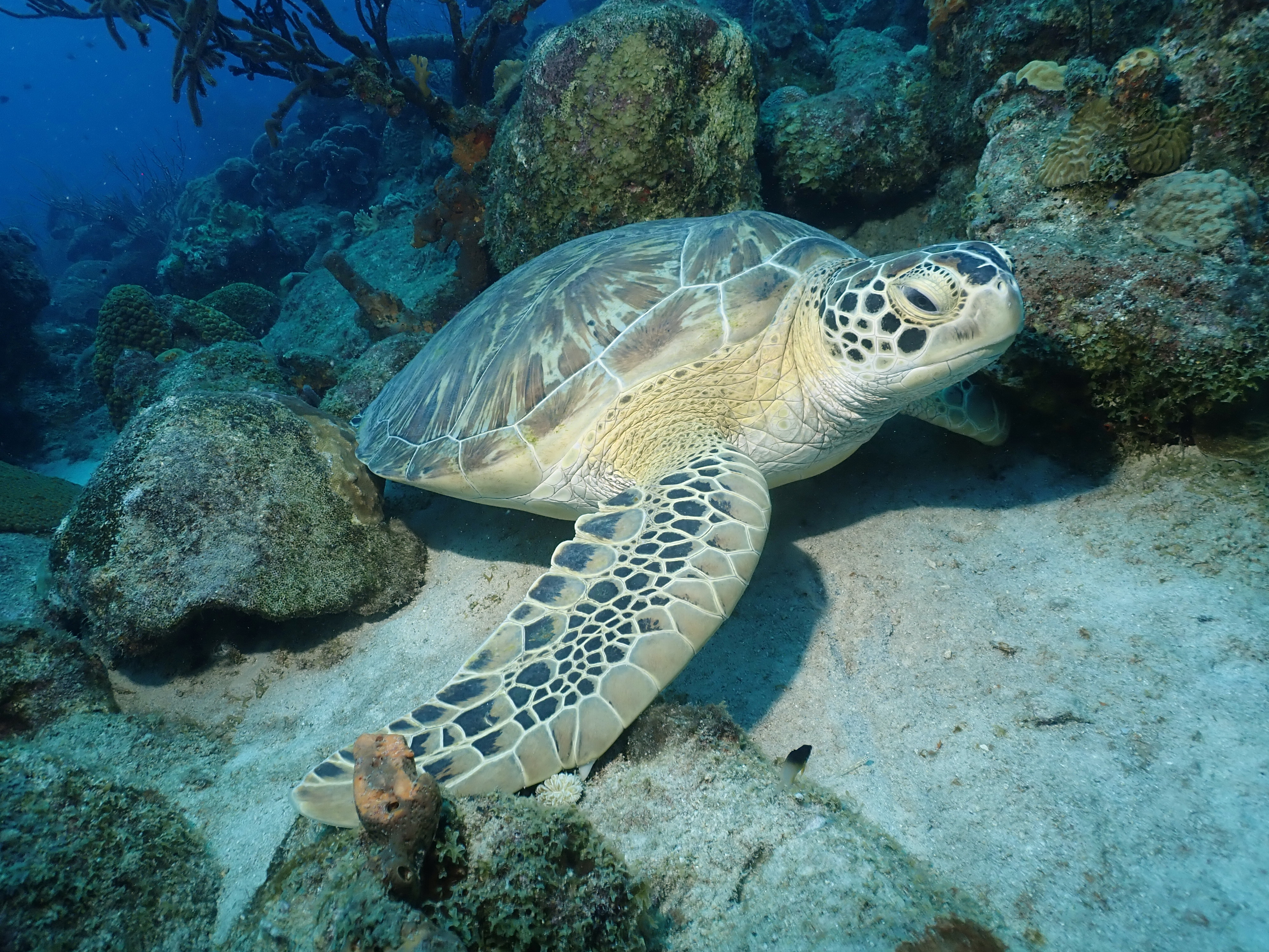 02-sushi boy-time to go.JPG