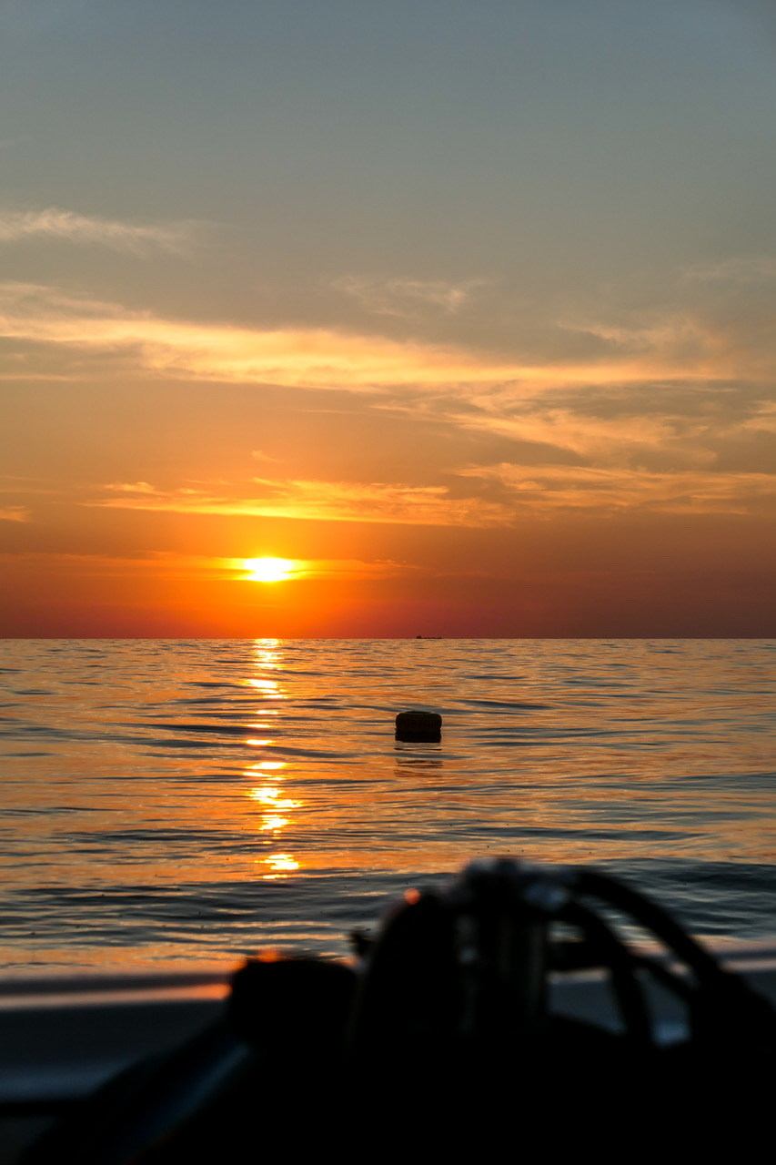 03842F49-672D-4924-8384-E78931F8F6A9