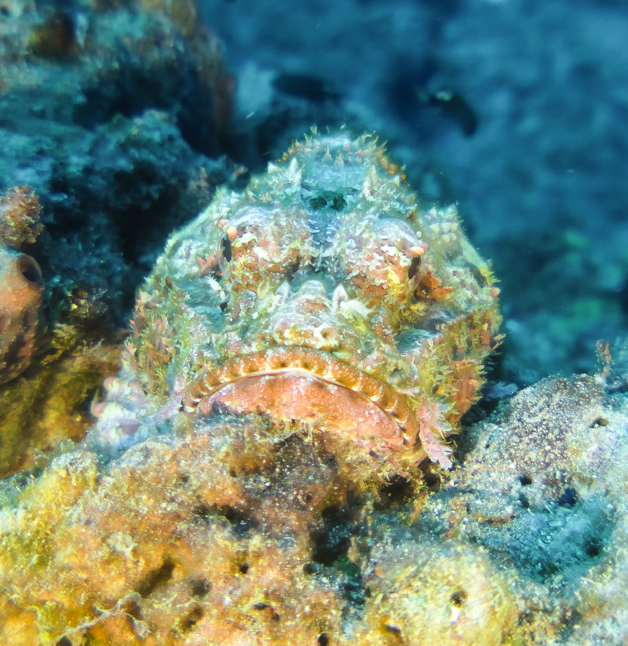 0BC2502B-B2B6-4961-93A0-CAF71EA9AD87