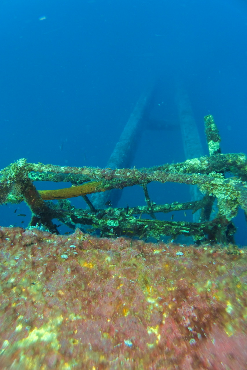 0D1C312F-C5ED-46D2-81BA-92881EEAABA1