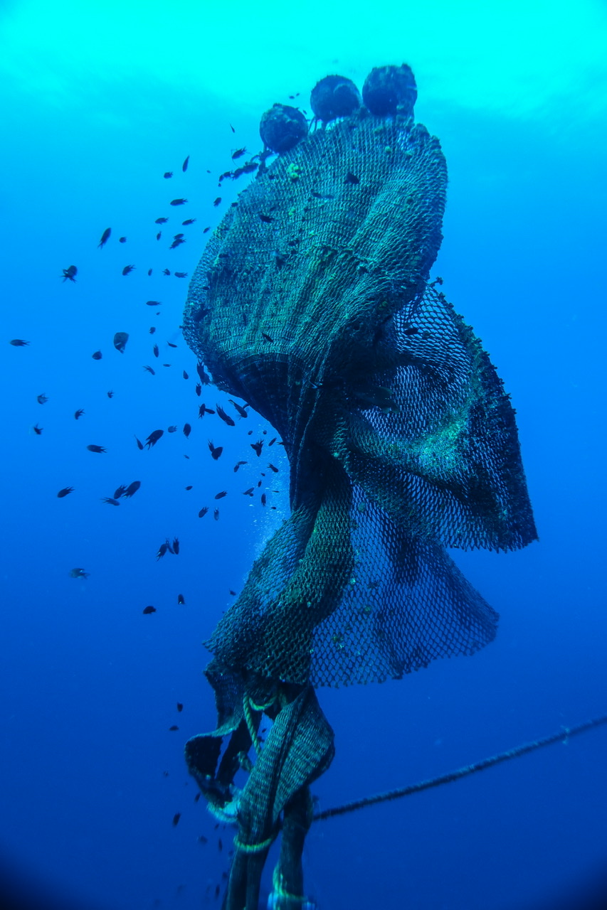 0E1D2B99-3889-48C0-B754-51A03DEB0F7D