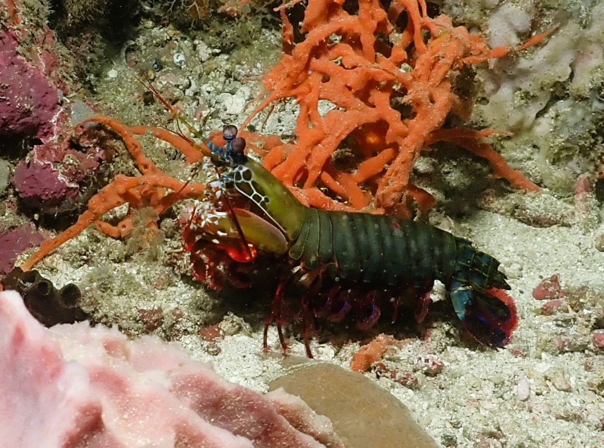 109.JPG