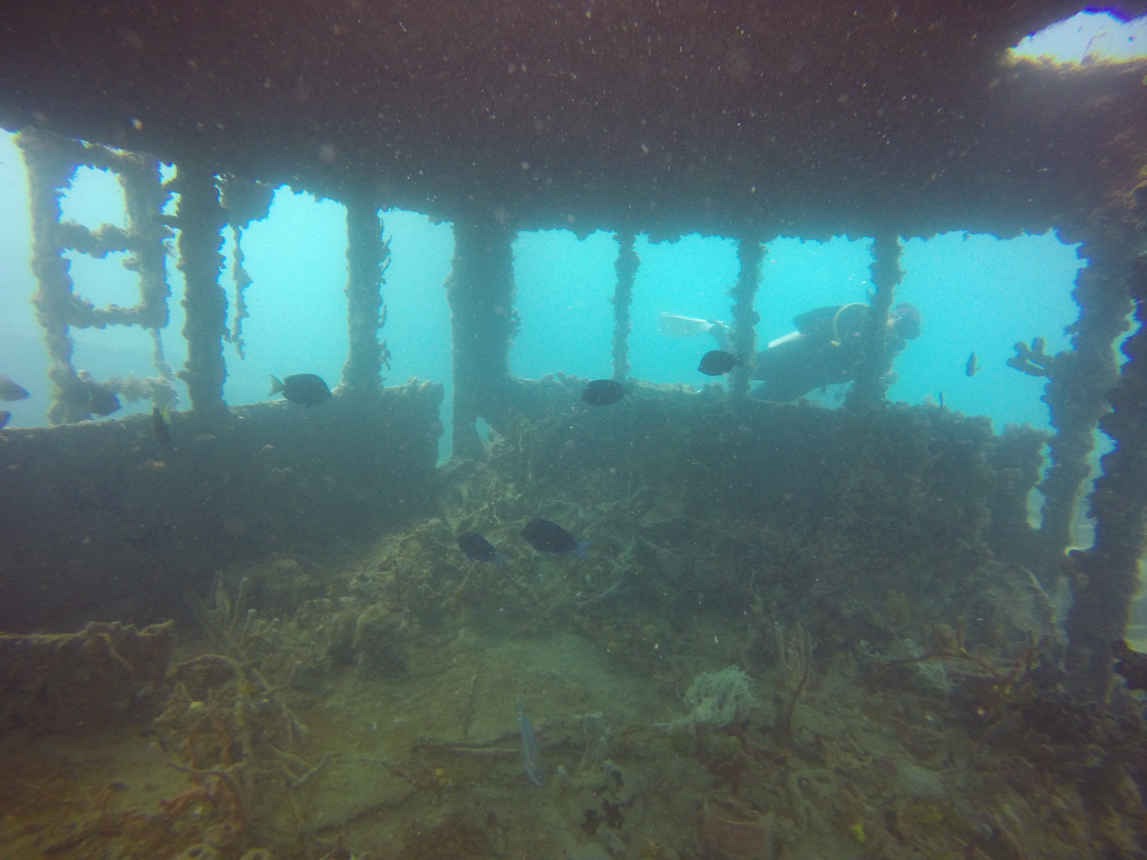 13 - bridge of tug wreck.JPG