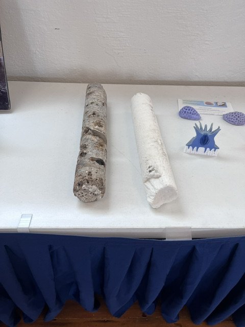 13 - core samples prior to installing U-bolt