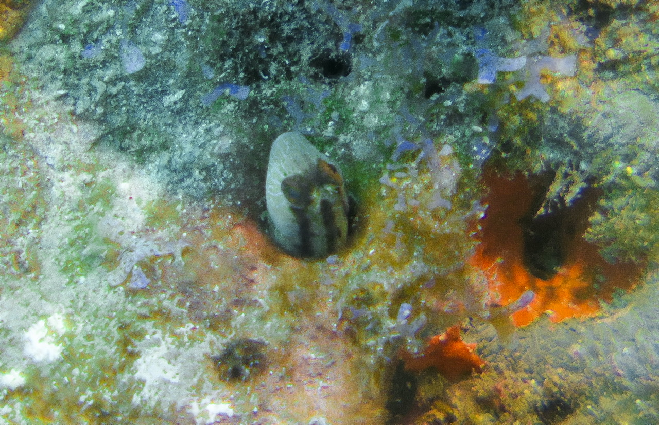 14012673-B0DF-498B-ABC0-FB9460EDEF4D