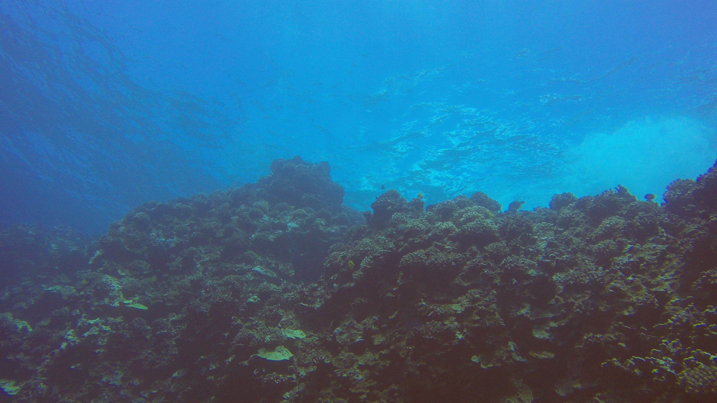 16 Shore From Below