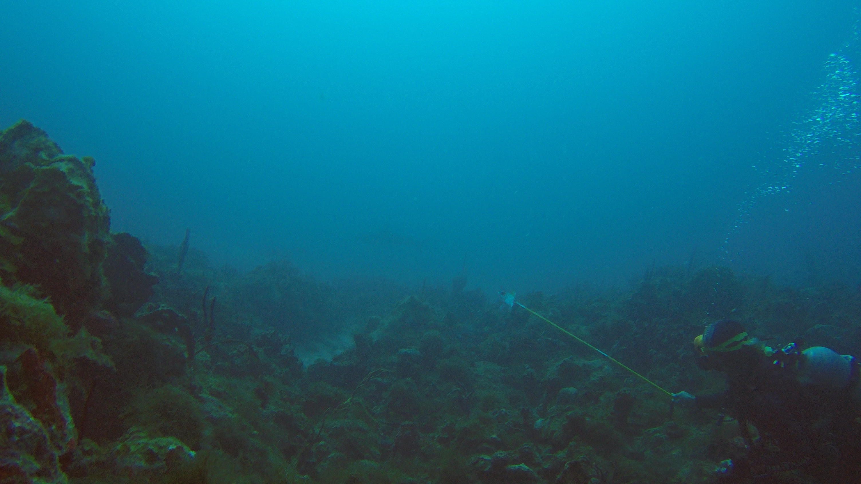 18 - not biting today.JPG