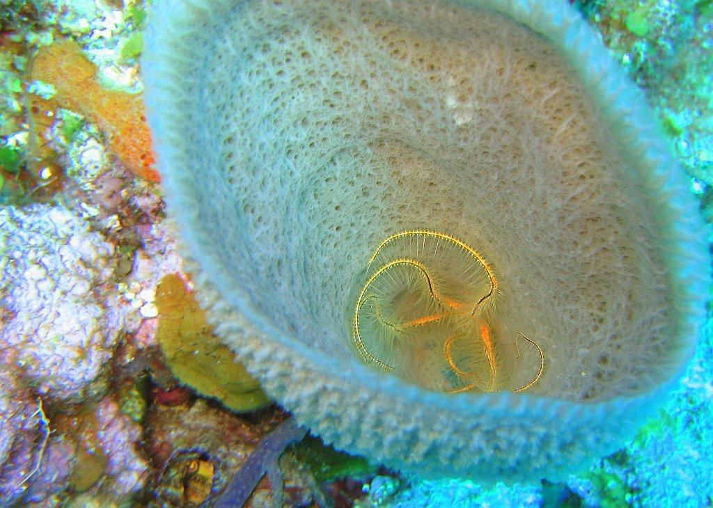 2006_0426TrukLagoon0051