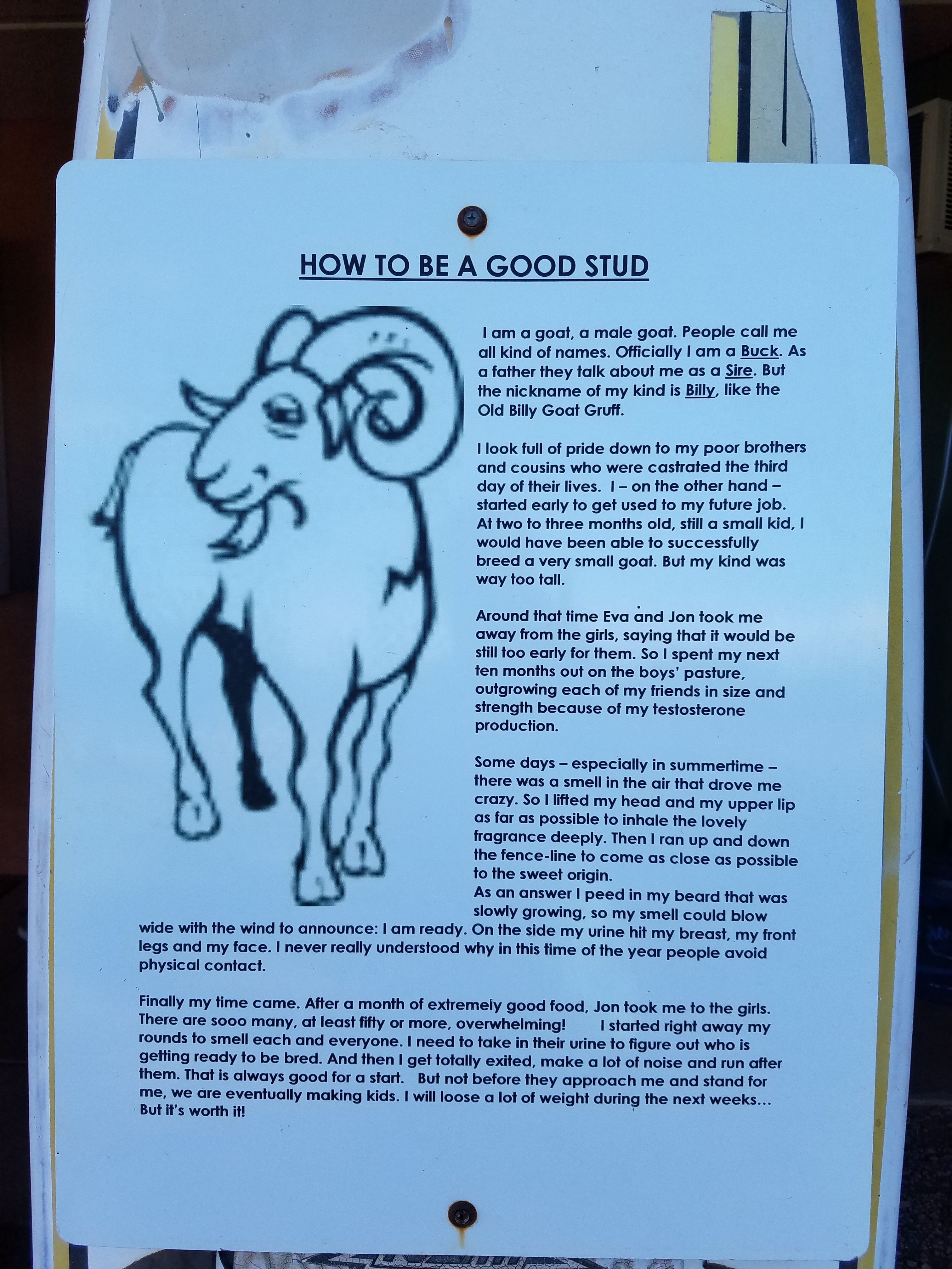 2017 0926 Maui HowToBeAGoodStud