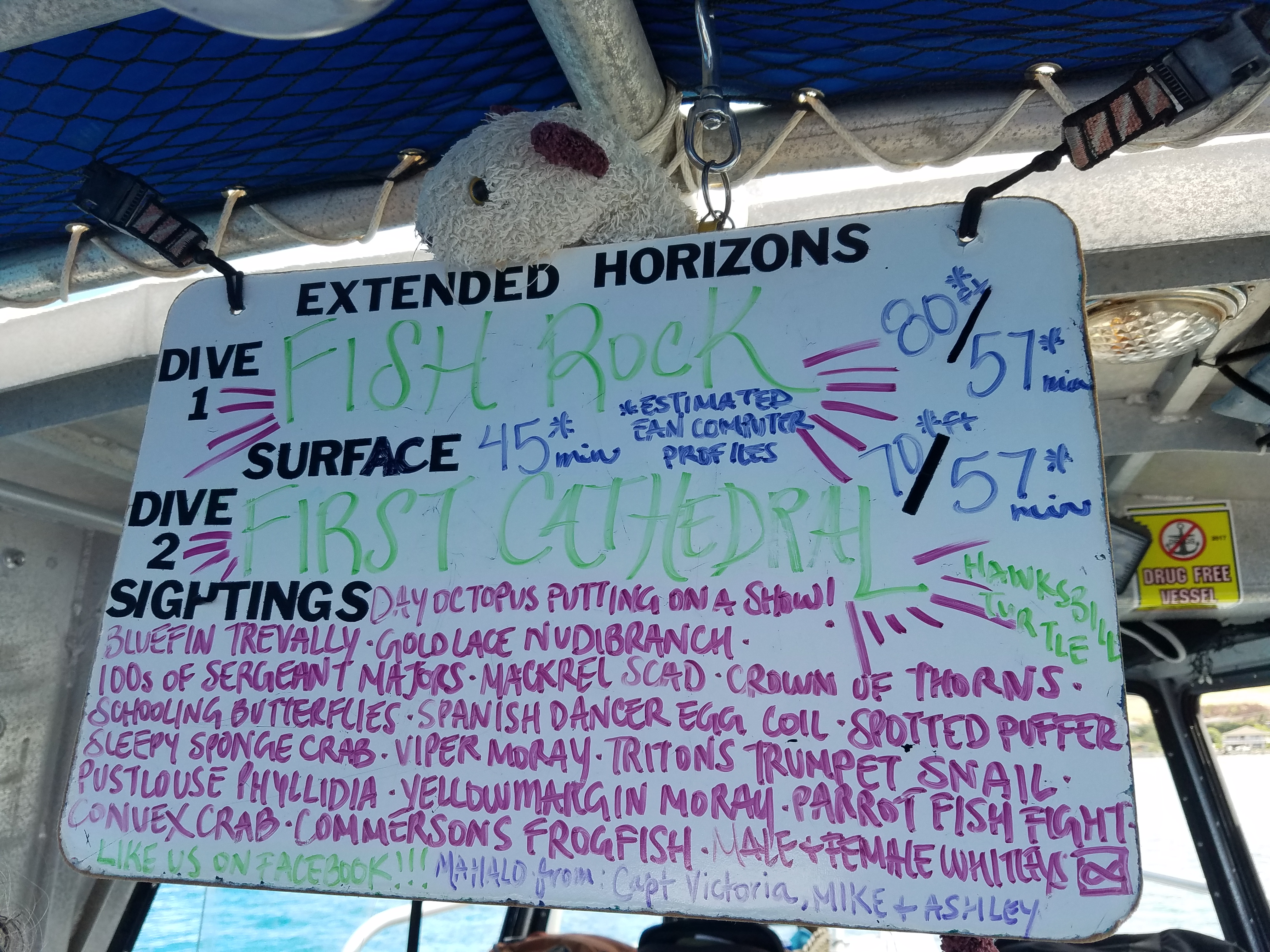 2017 0927 Maui Day3 DiveBoard Wet