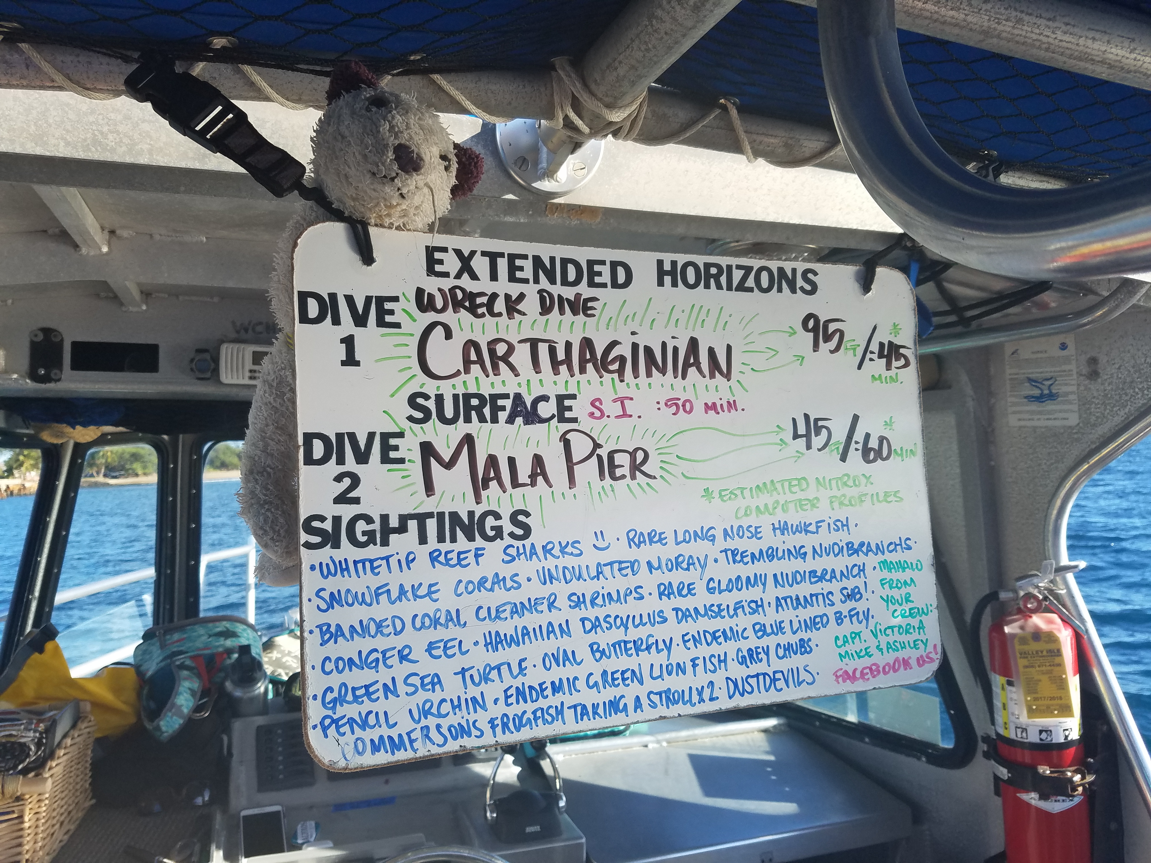 2017 0928 Maui Day4 DiveBoard Wet3