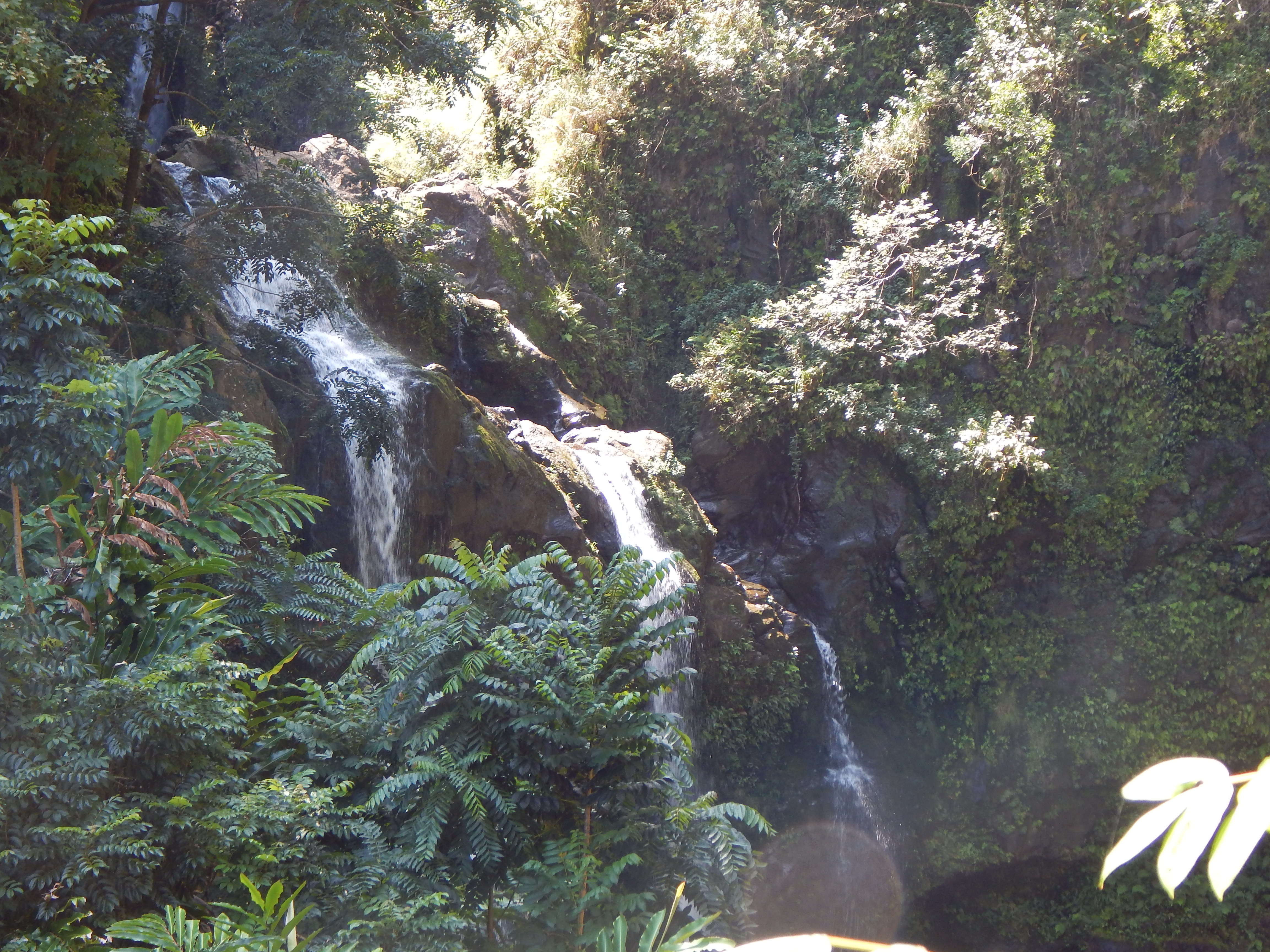 2017 1001 Maui Hana 3Bears5