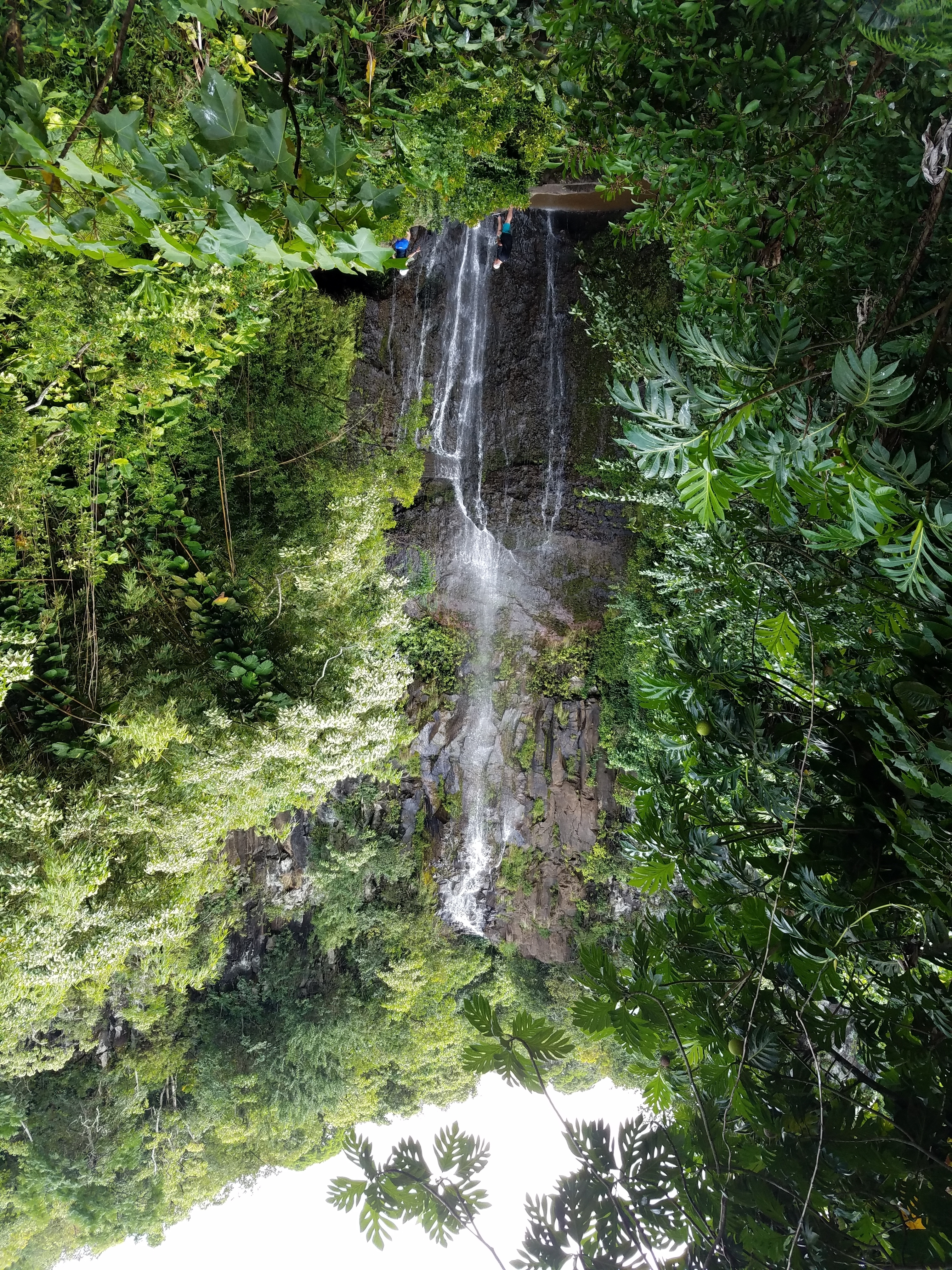 2017 1001 Maui Hana Falls10