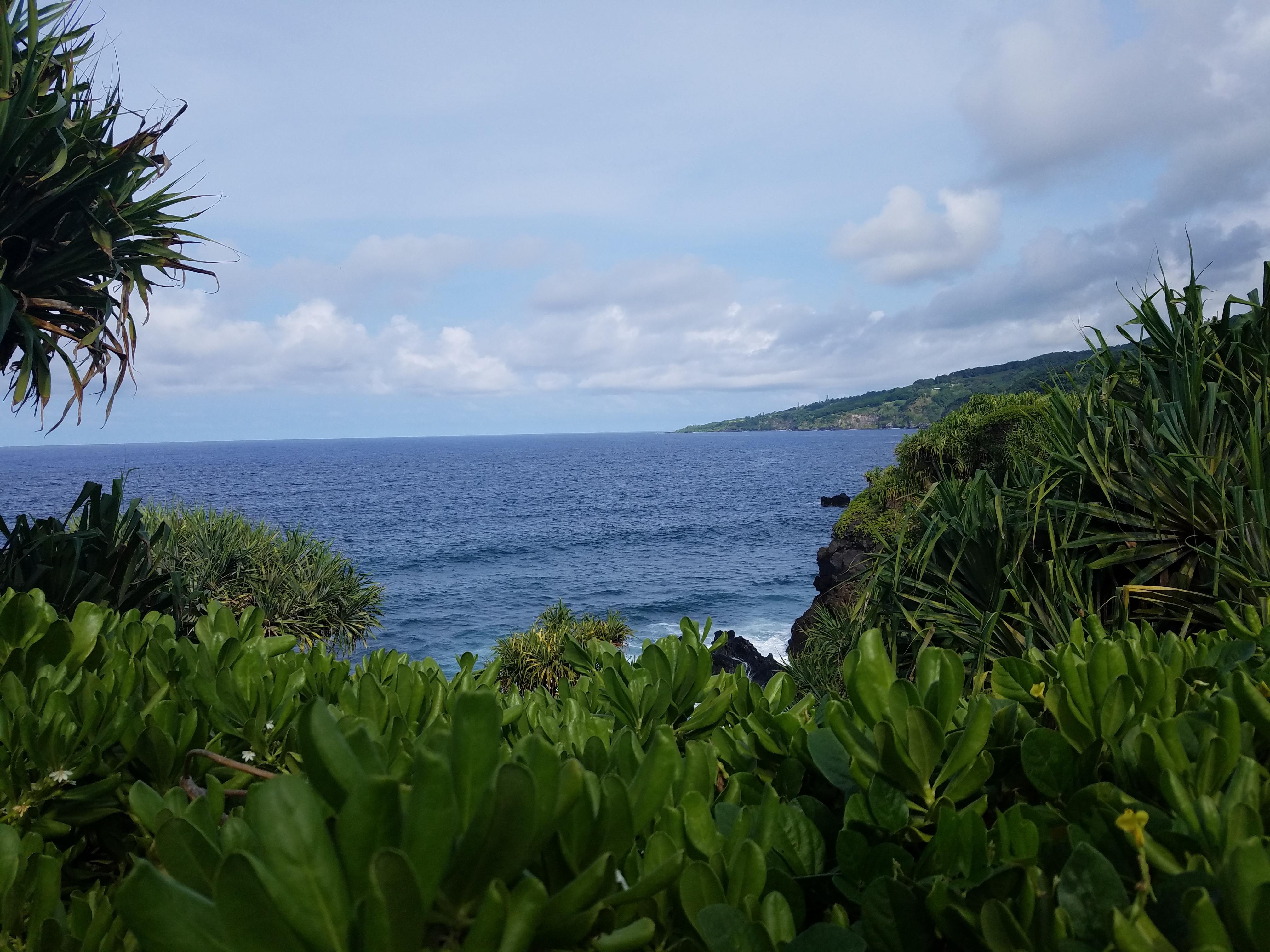 2017 1001 Maui Hana View9