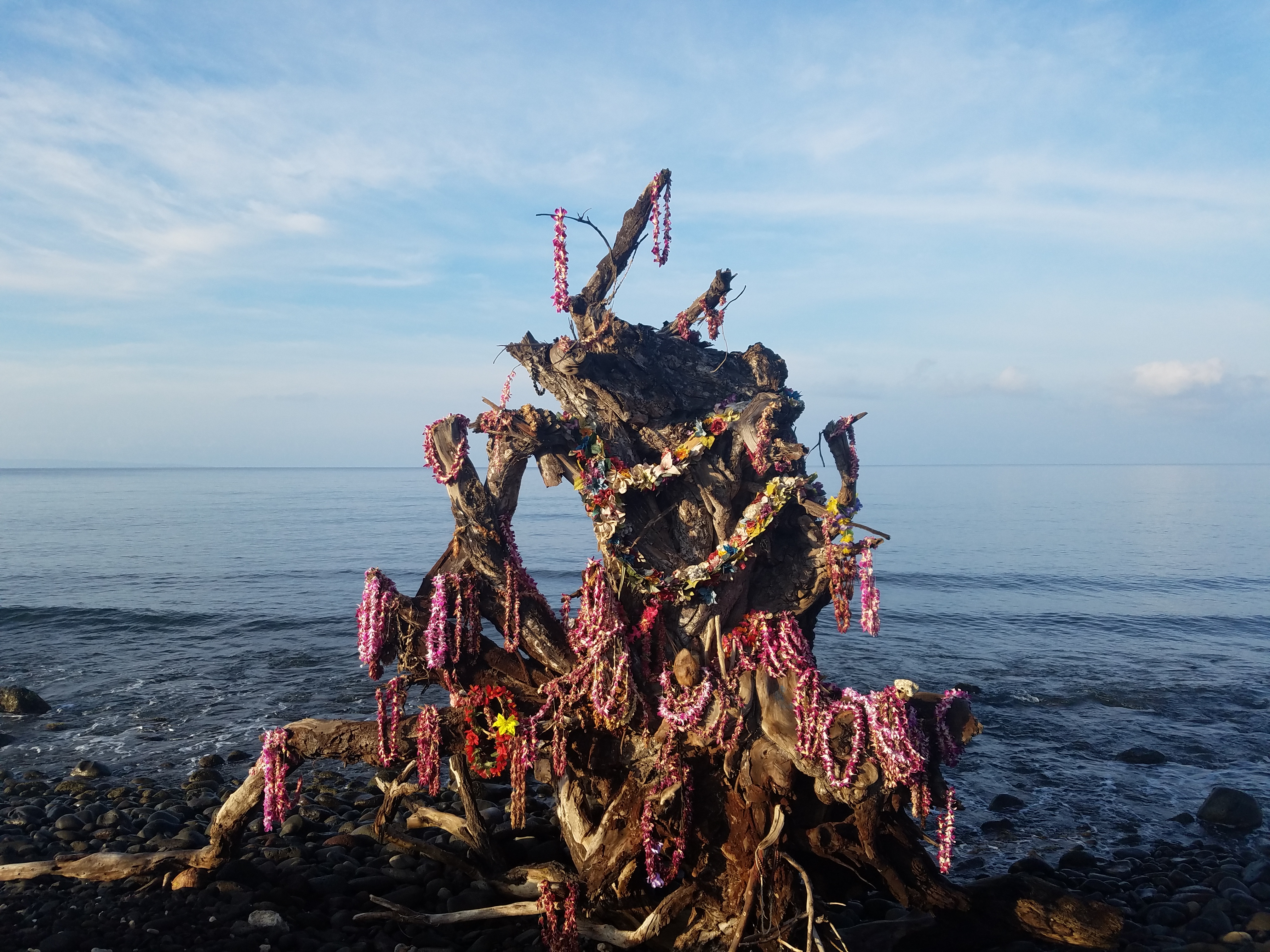 2017 1001 Maui TreeMemorialWithLeis3