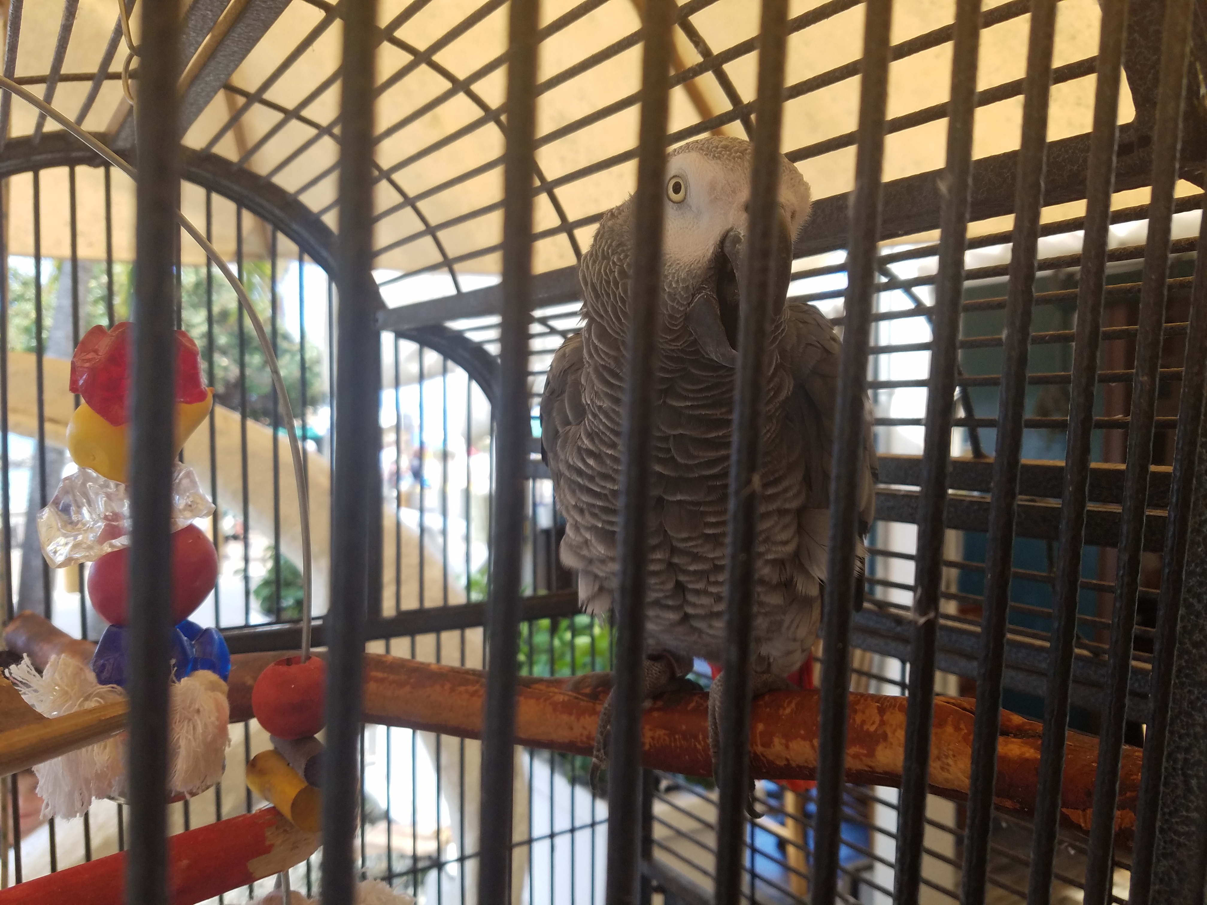 2017 1002 Maui PioneerInn Alex