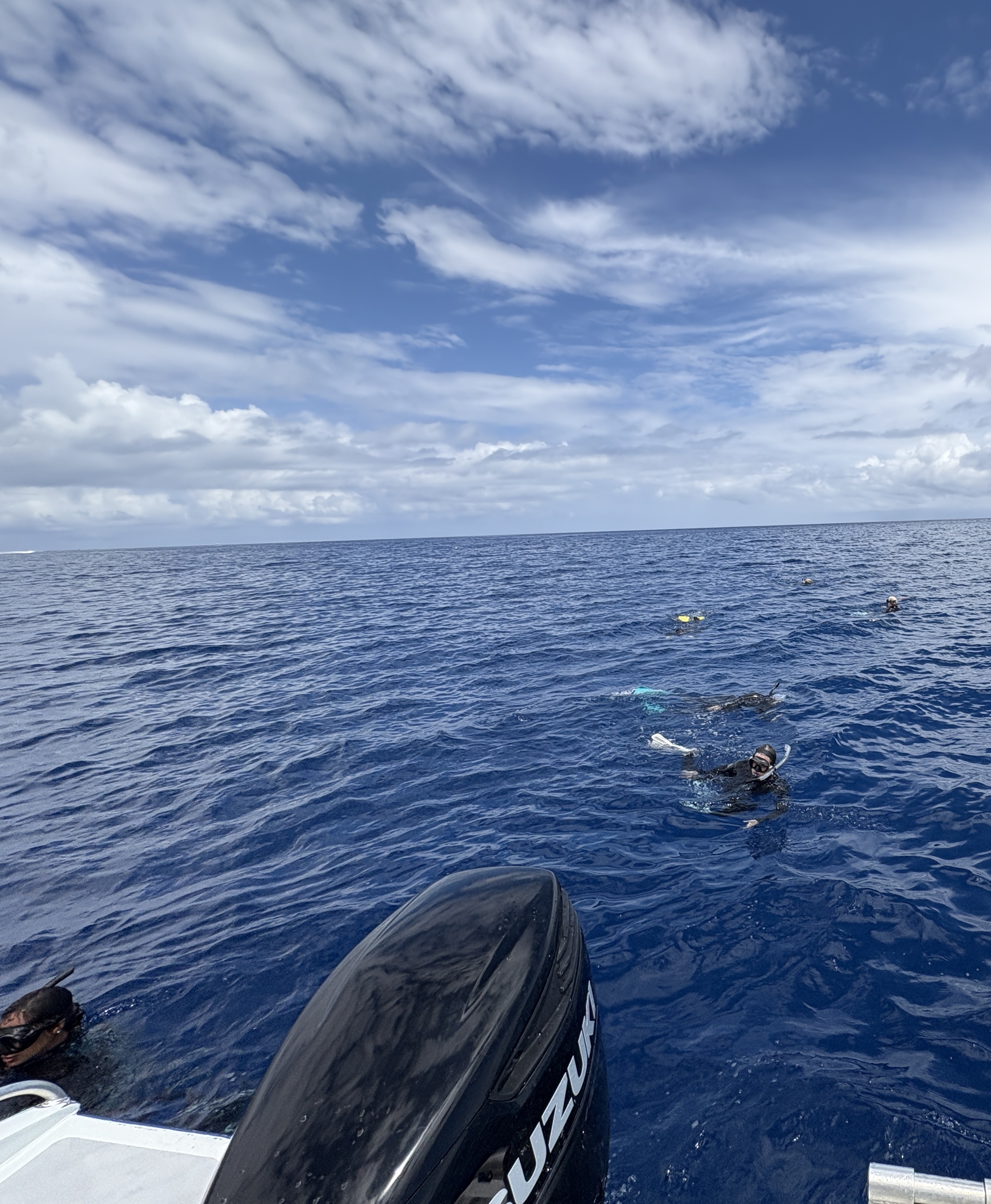 2025 1001 Moorea CHUM3.JPG