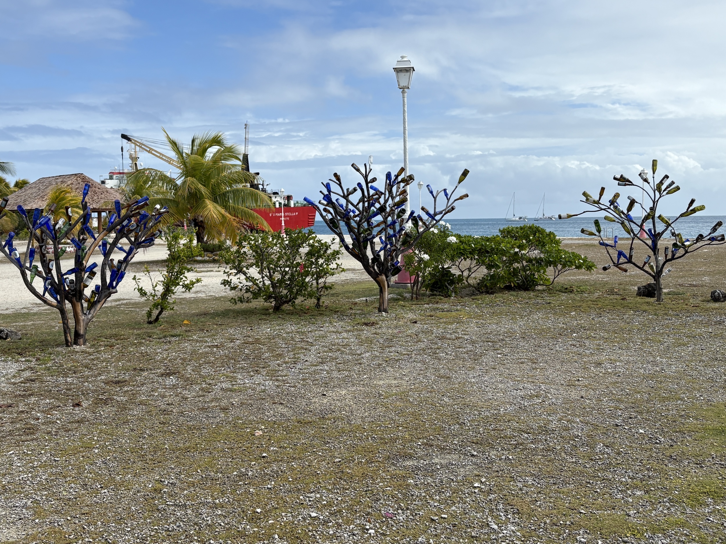 2025 1009 Fakarava Scene4 LowRes.jpeg