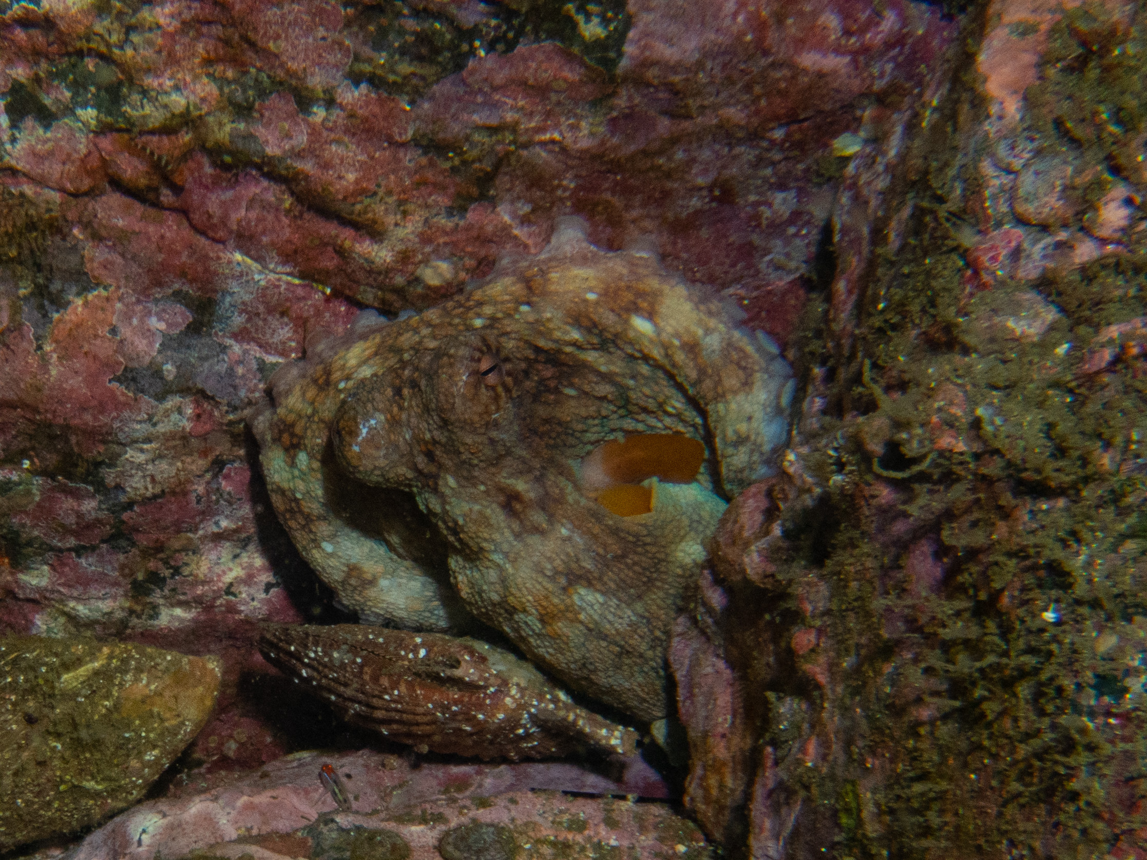 20BC4125-5888-4C0A-9875-F4C4F69B3229