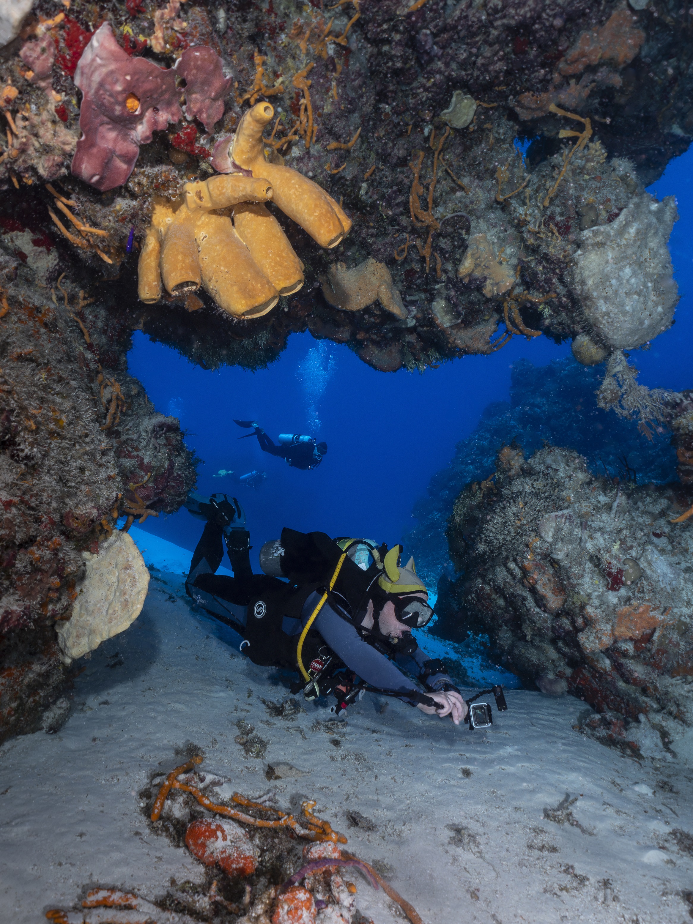 21 - McLot on Cozumel reef