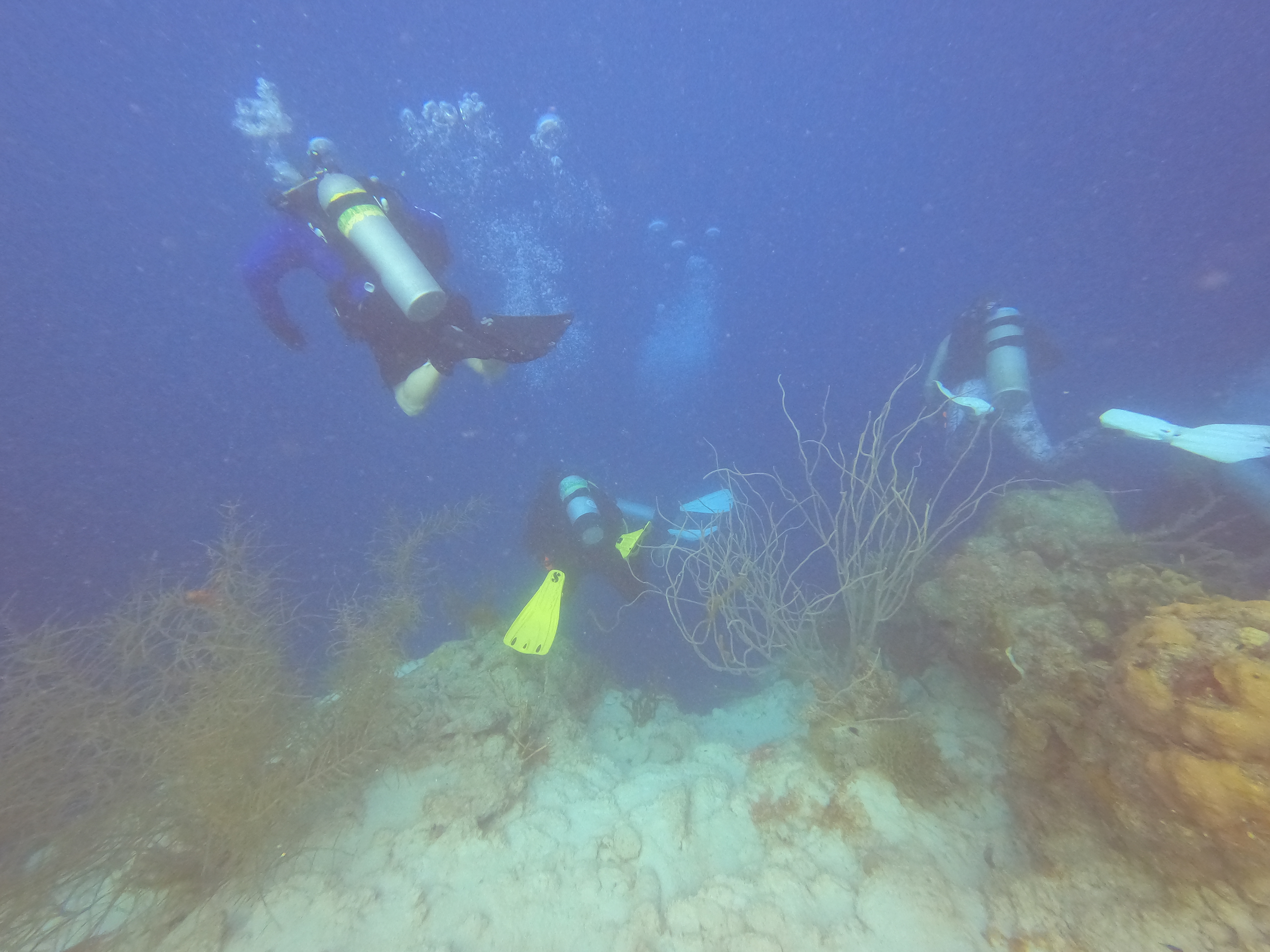 22 - Entry to wall dive at Directors Baii.JPG