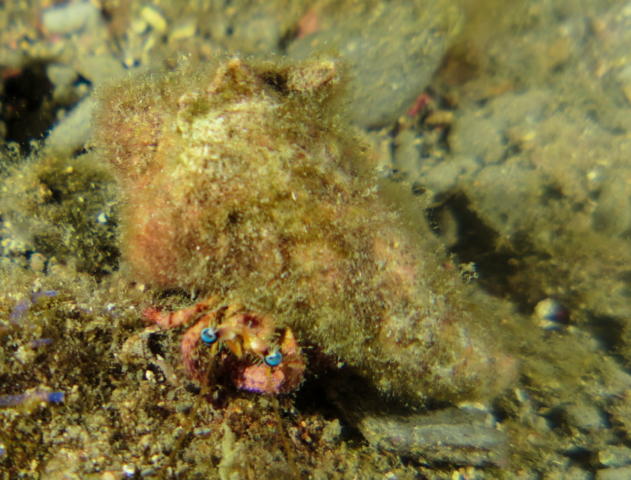 22B10E5E-17F4-4DA4-9D48-C1C27C369356