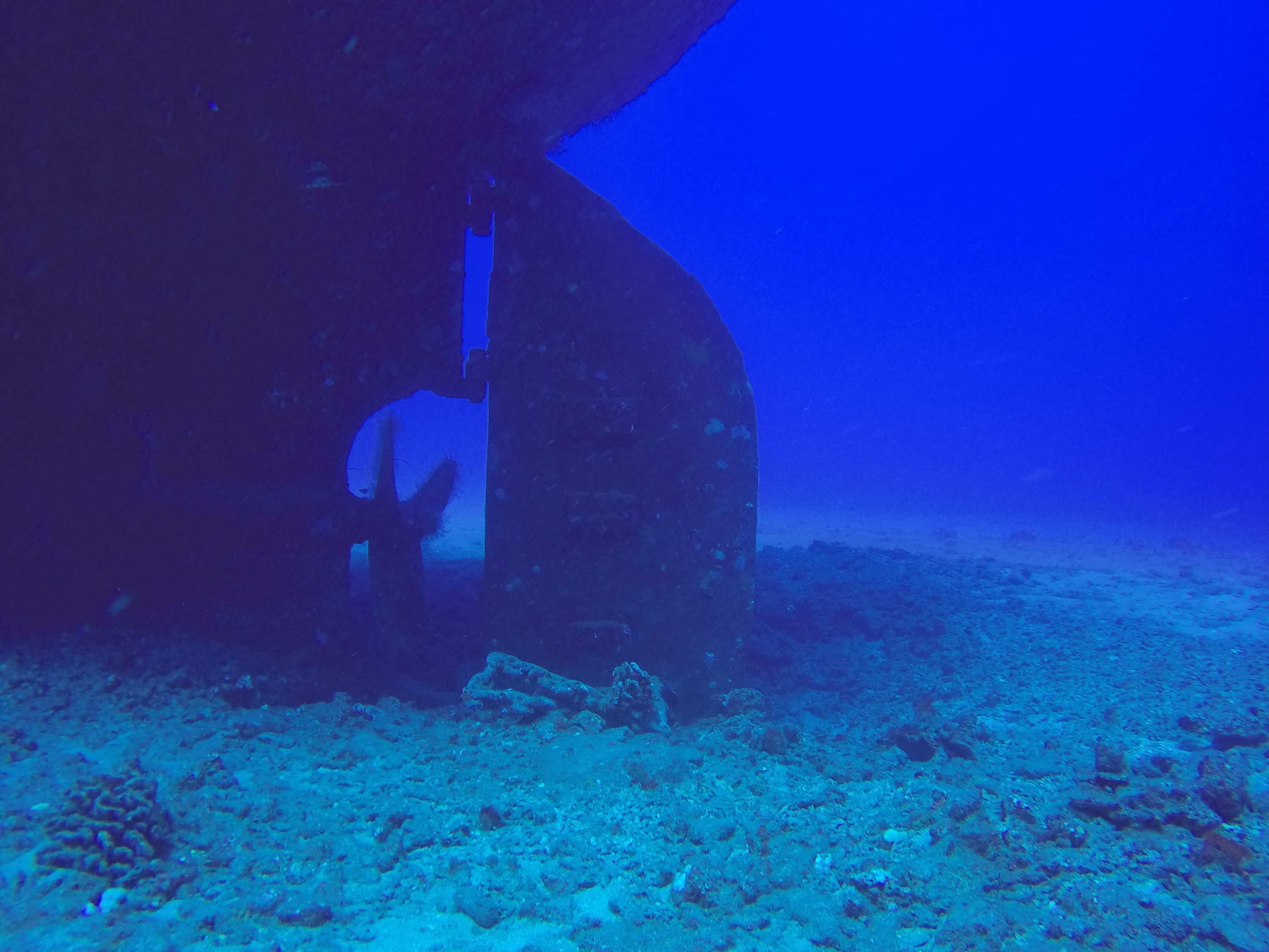 23 Carthaginian Wreck