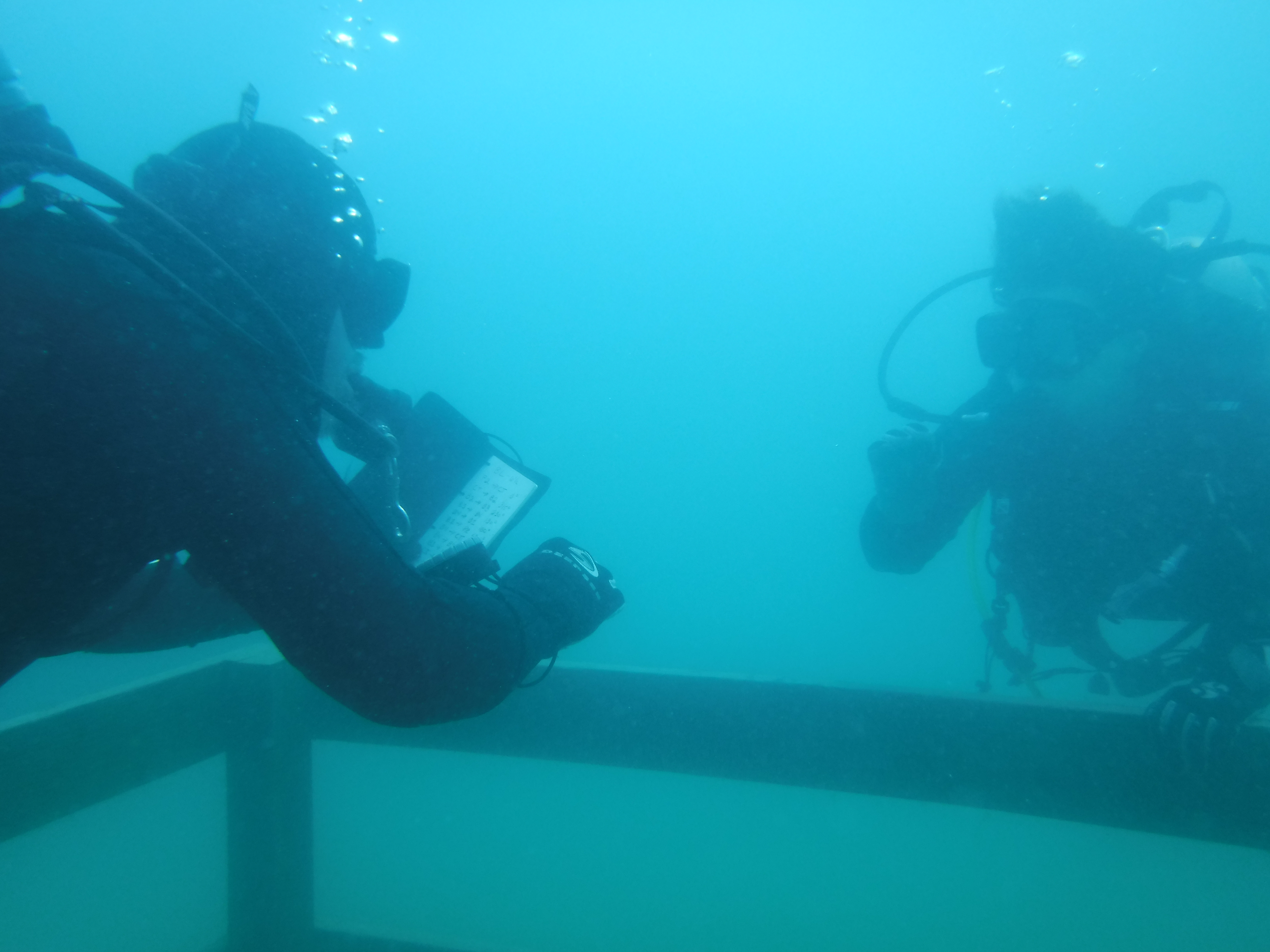 24% And Wanderwoman Discuss Comapss Headings - May Blue Lagoon