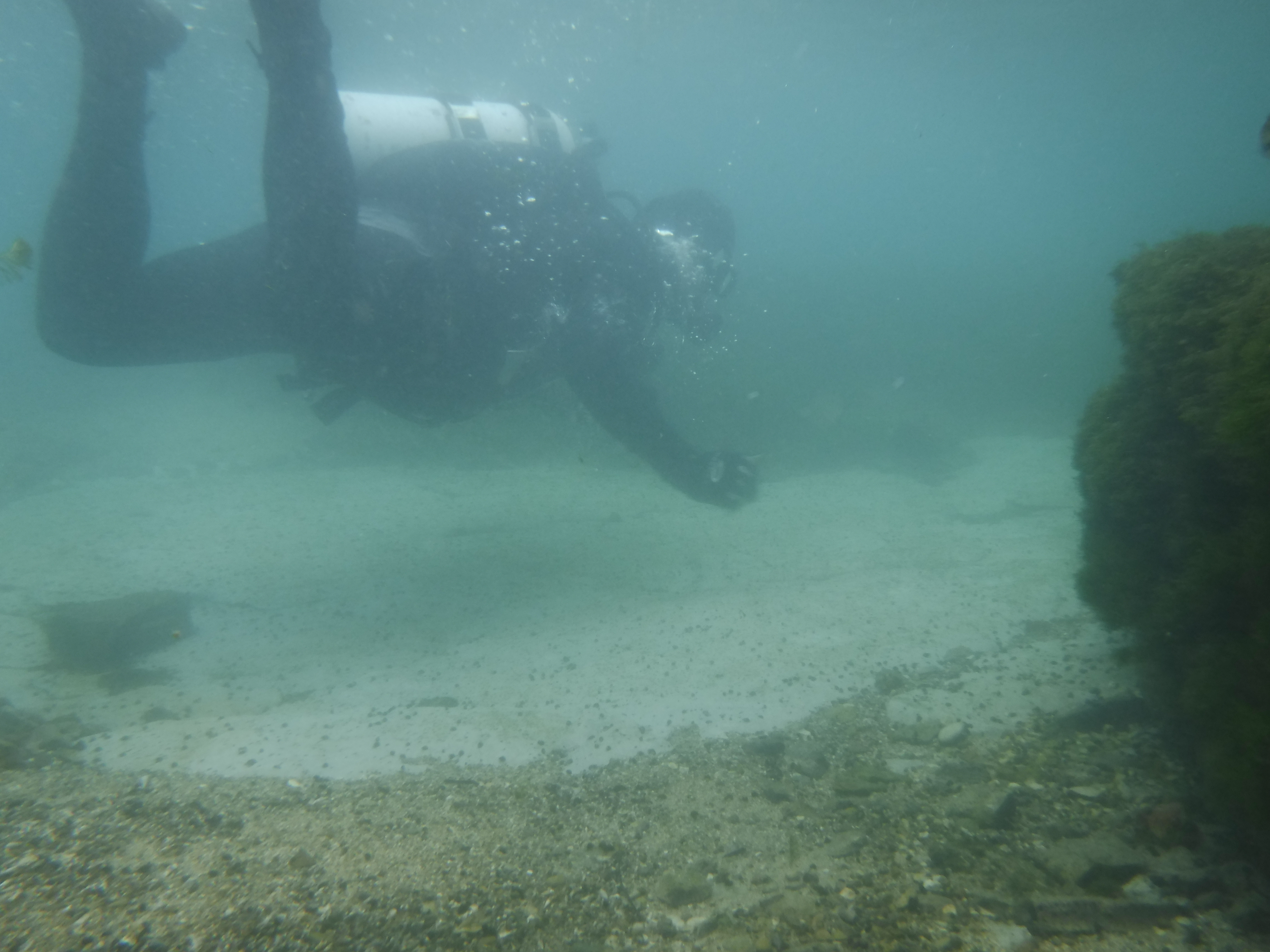 24% - MAR Comal