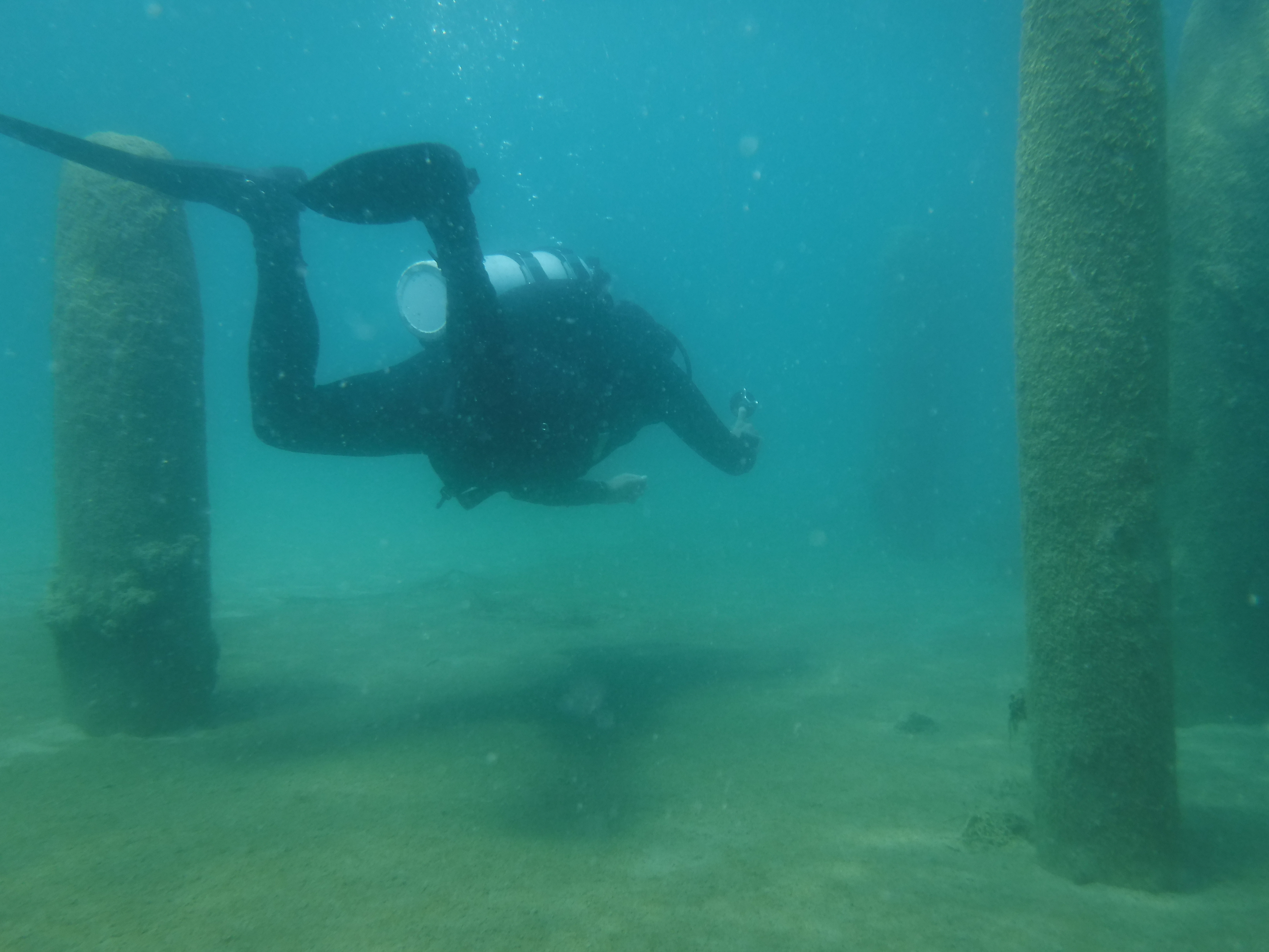 24% With The Pilings 02 - June Elk Rapids, MI