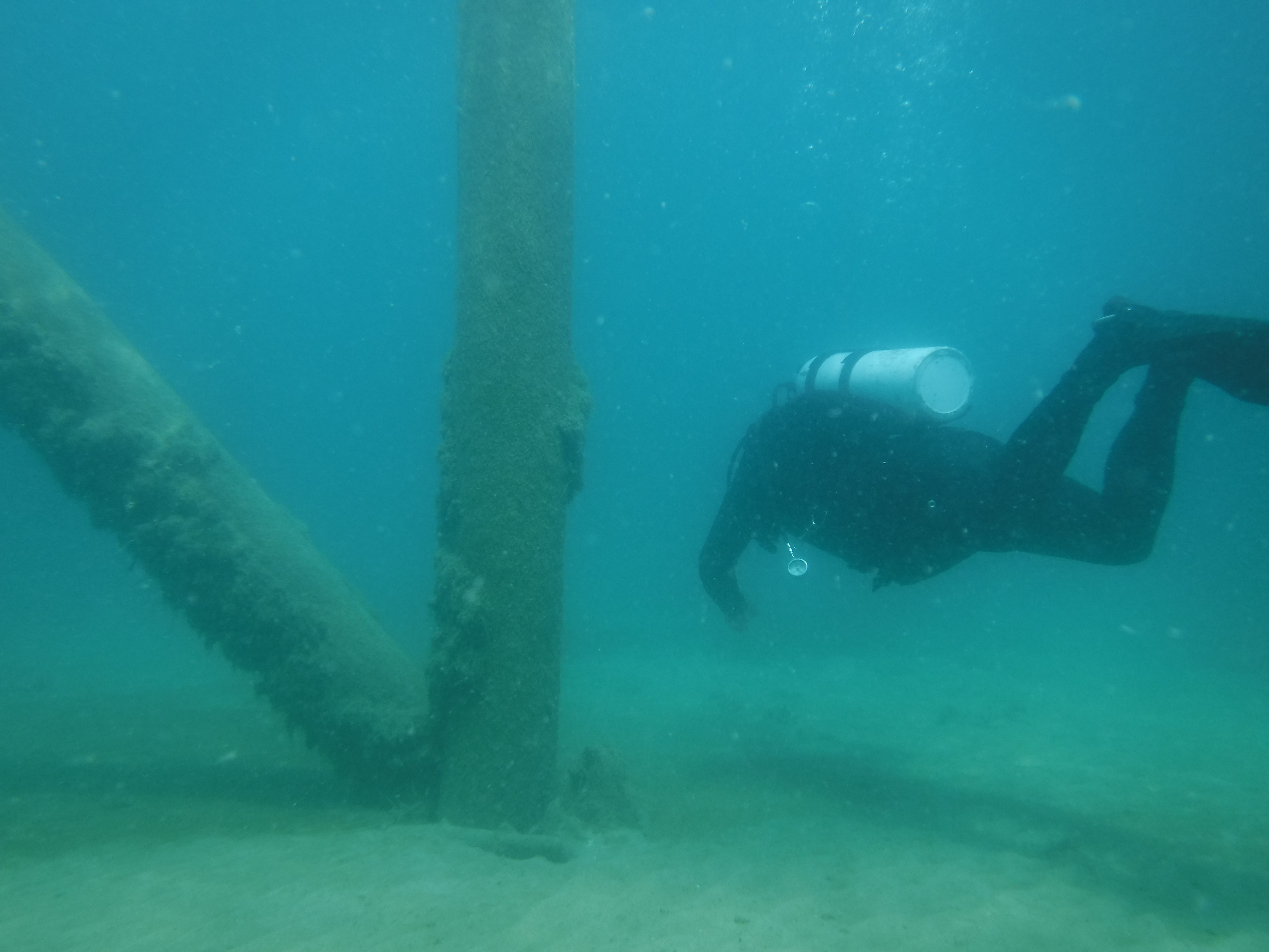 24% With The Pilings 03 - June Elk Rapids, MI