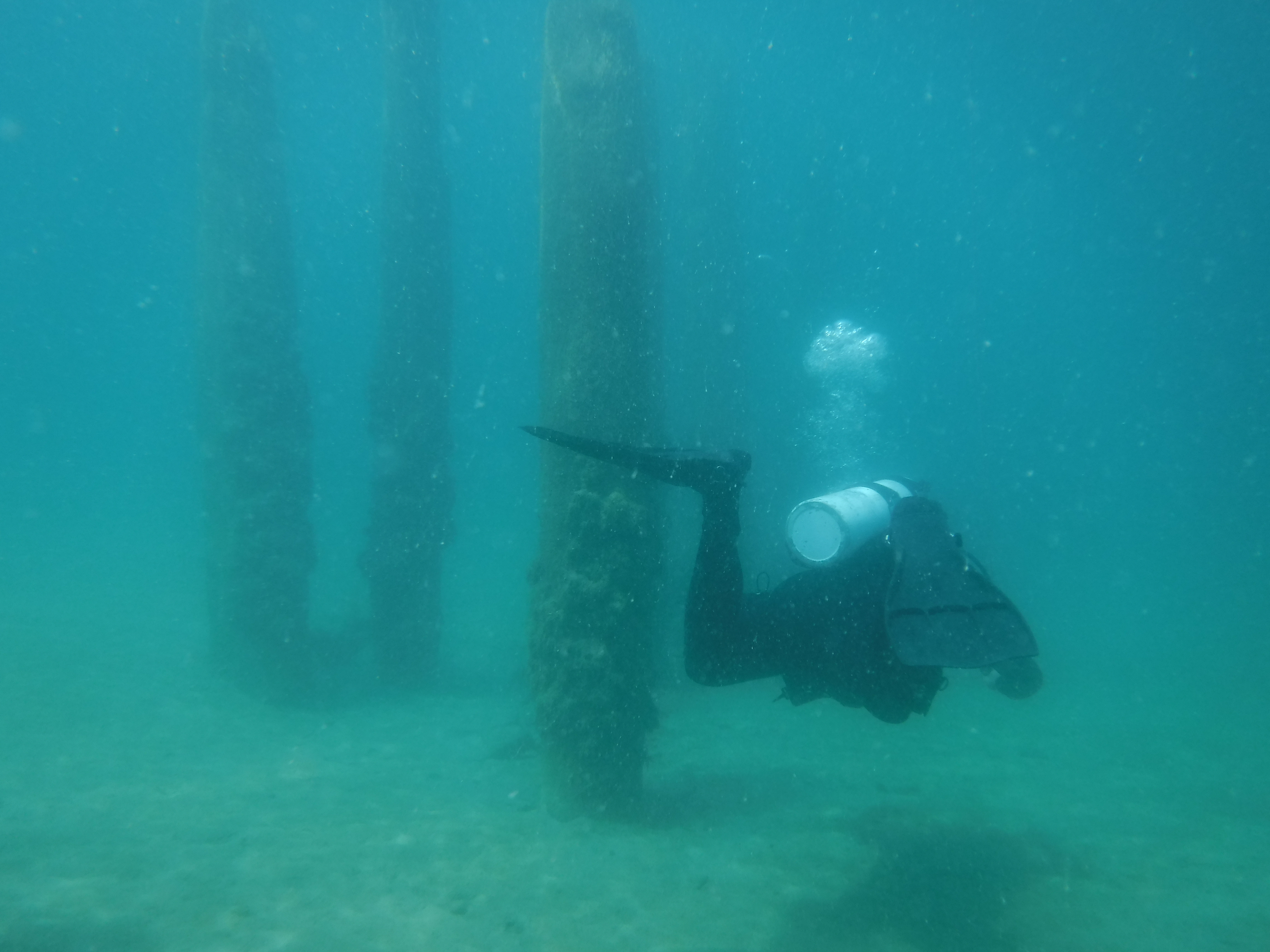 24% With The Pilings 04 - June Elk Rapids, MI