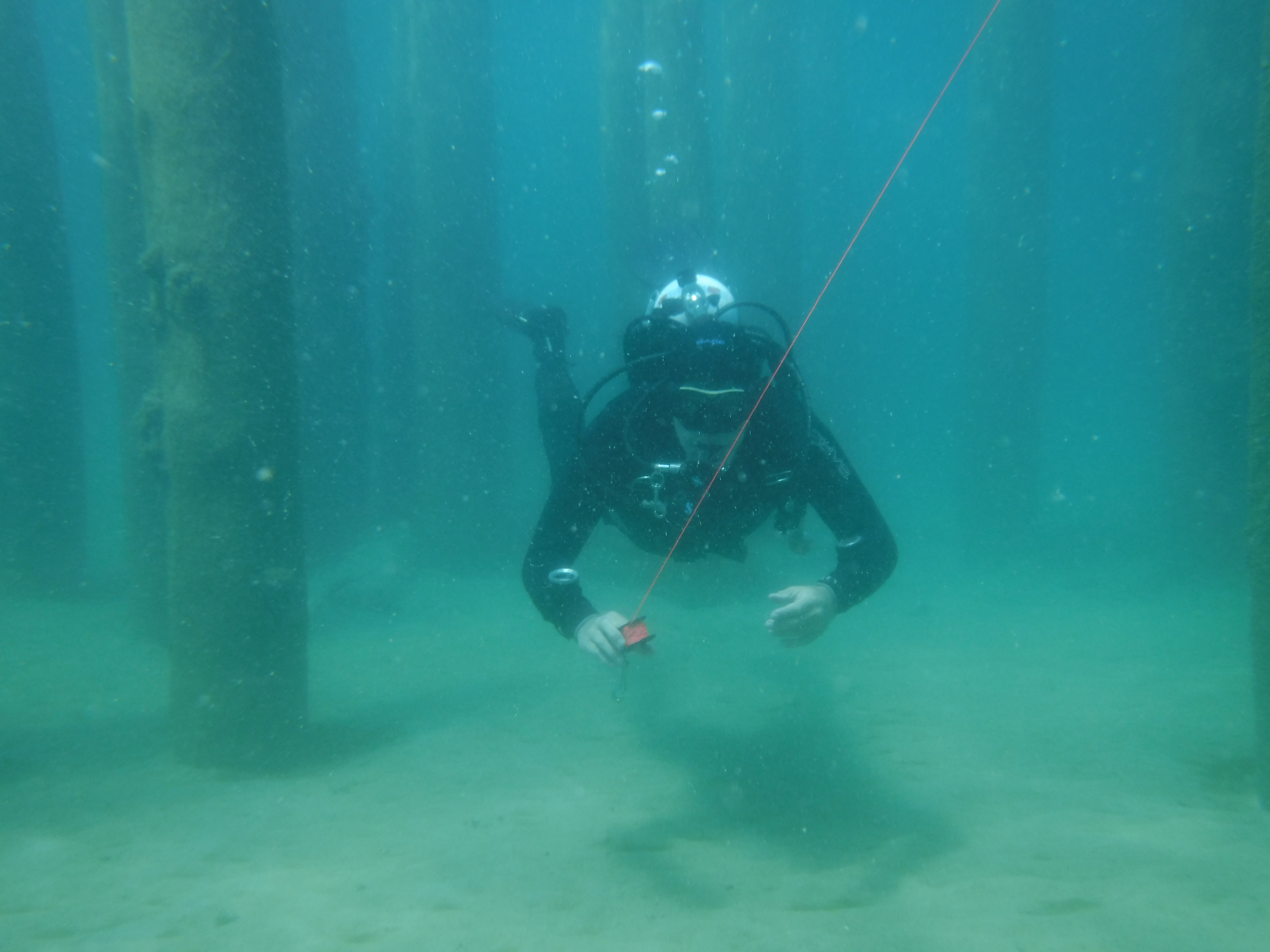 24% With The Pilings 06 - June Elk Rapids, MI