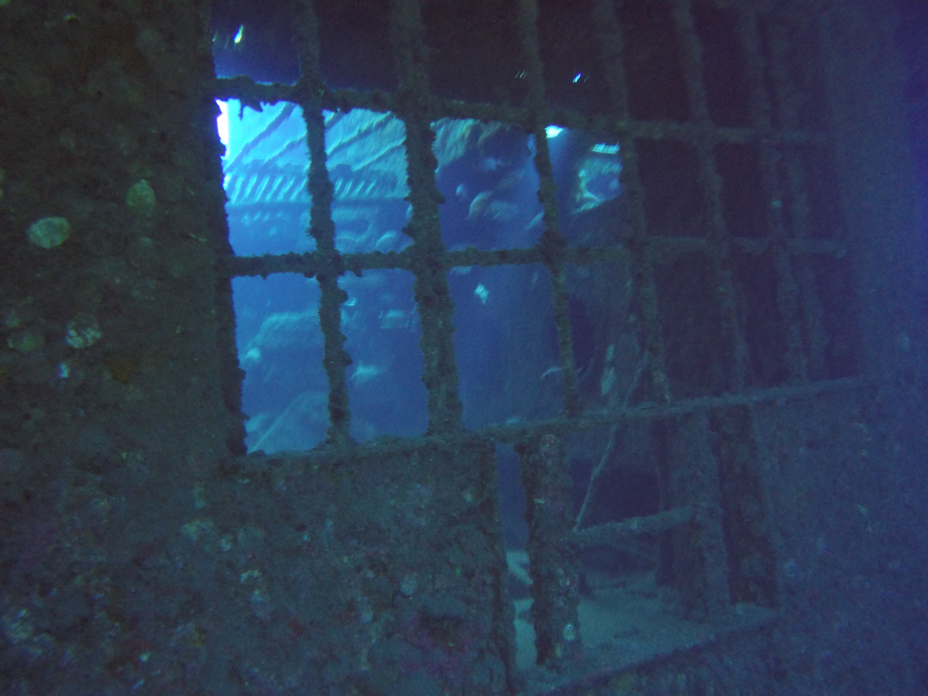 25 Carthaginian Wreck Hold