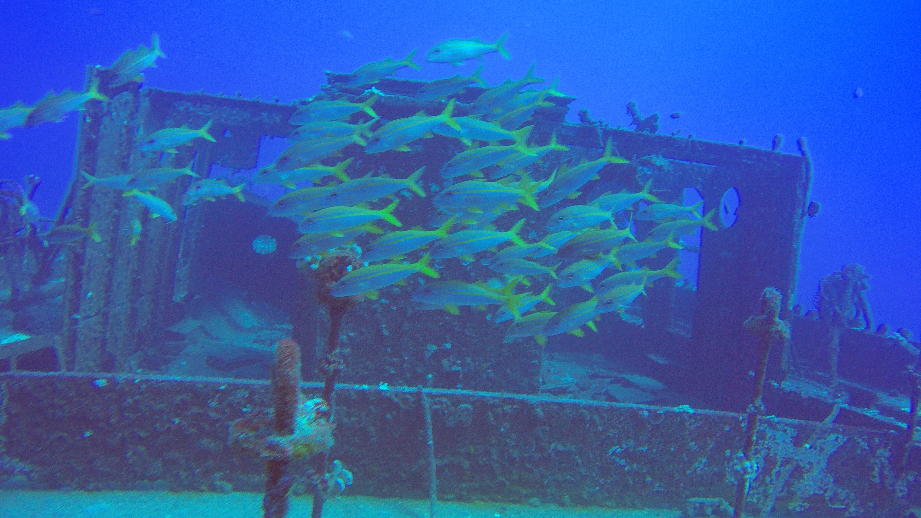 26 Carthaginian Wreck
