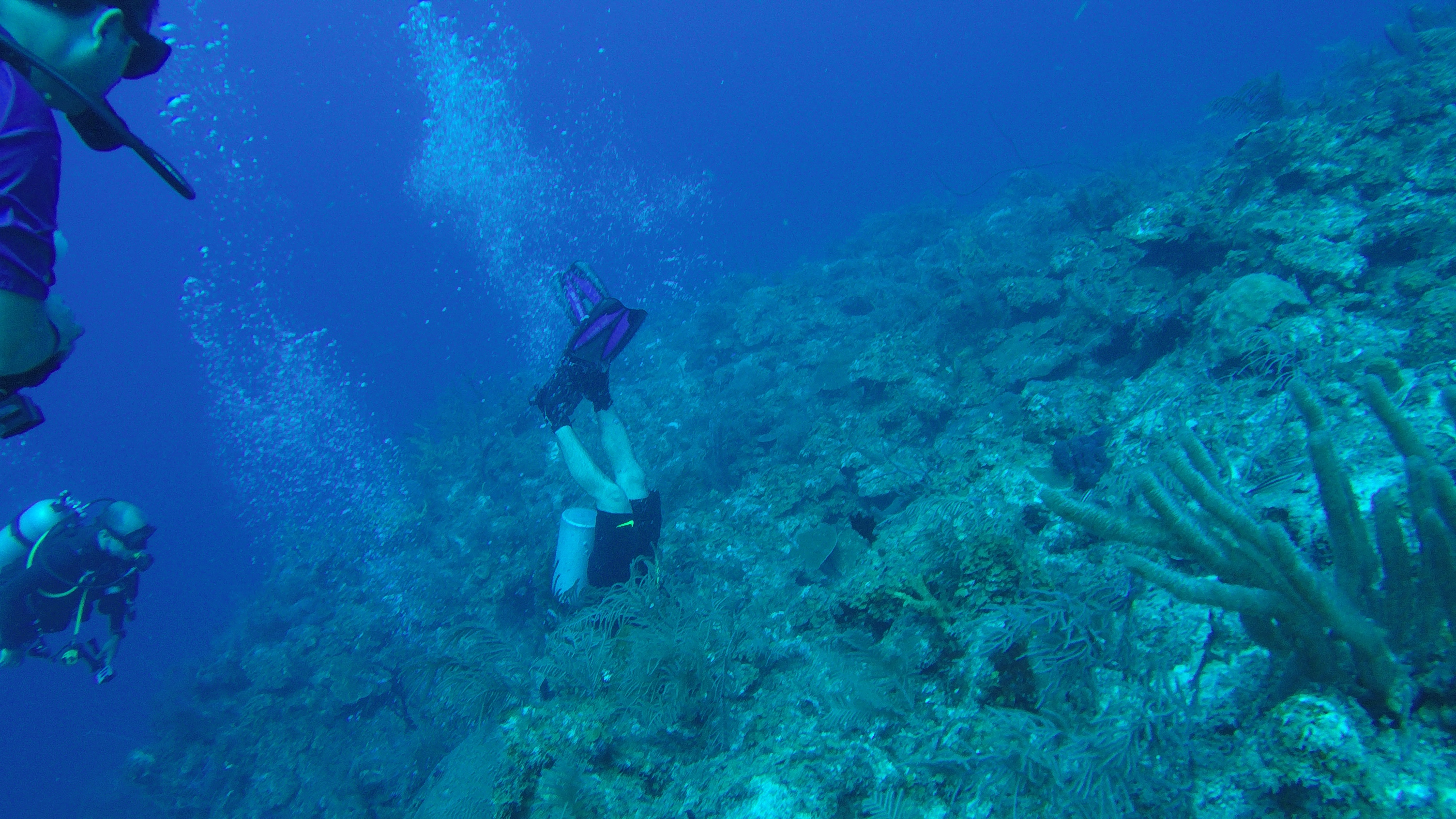 26 - Down The Chimney