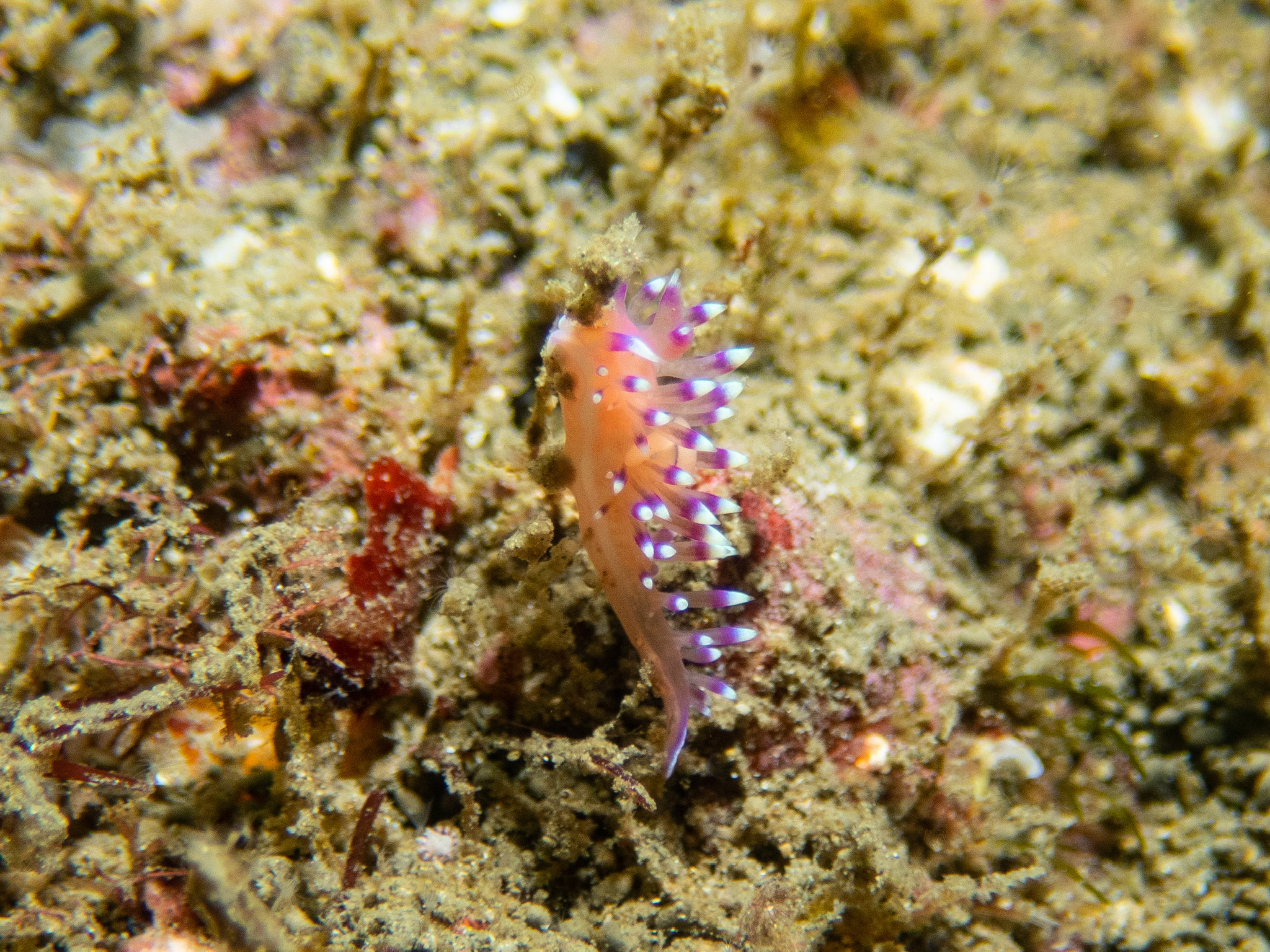 268CB0B8-F6E5-401D-A0D8-5D270B9791E3