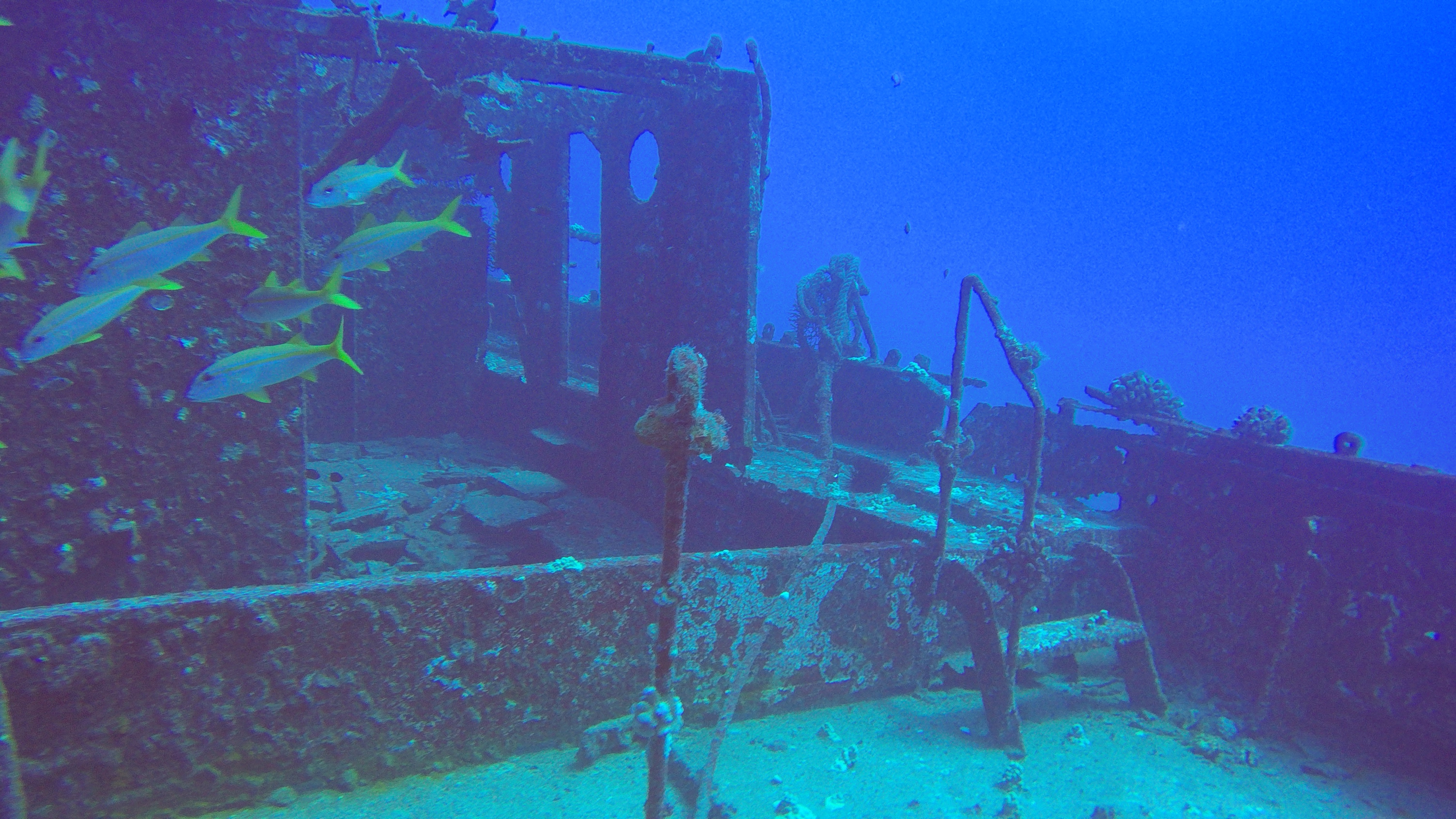 27 Carthaginian Wreck