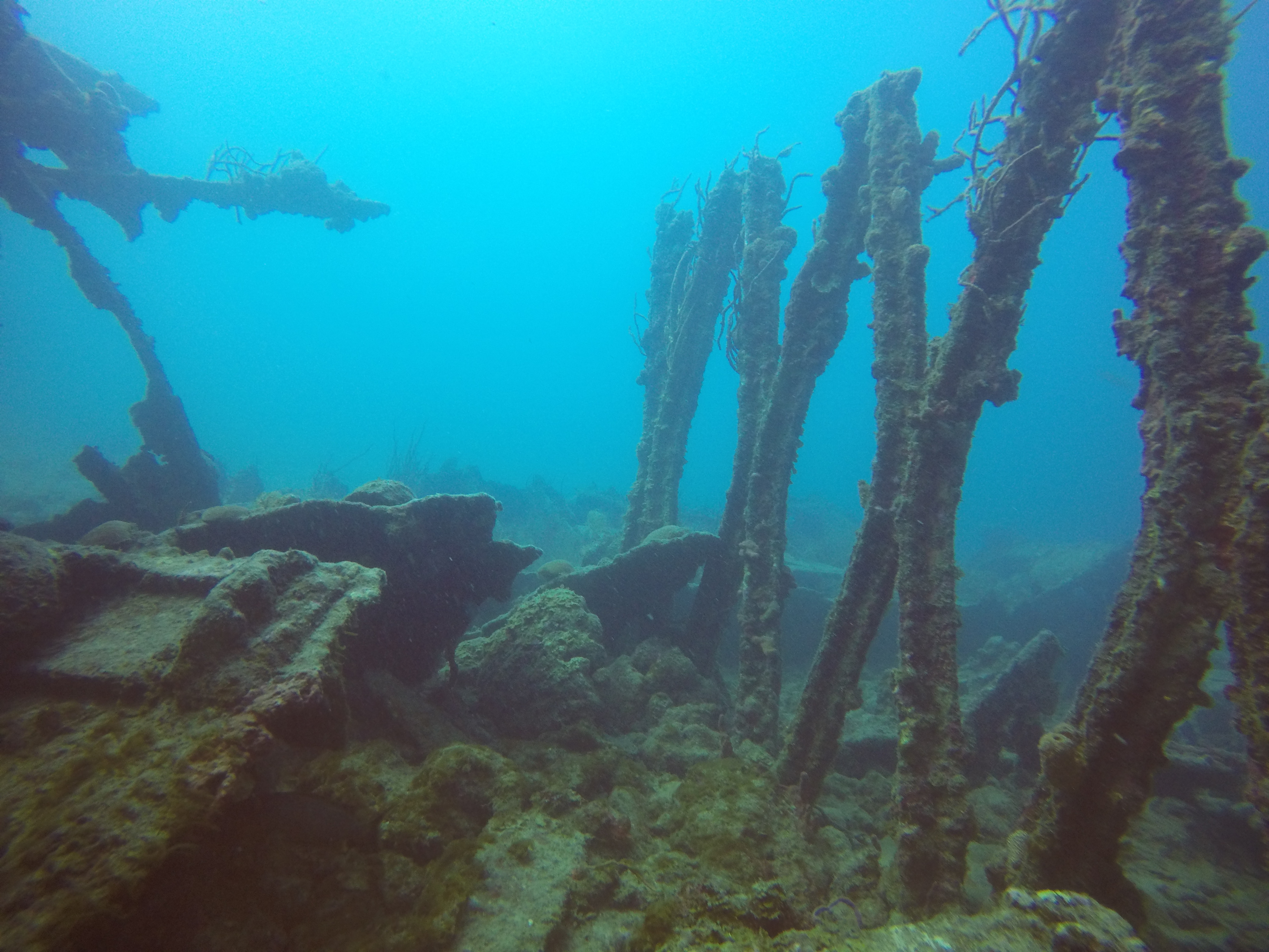 28 -  Navy Barges wrecks.JPG